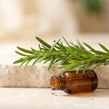 Imagem de Melaleuca + Alecrim